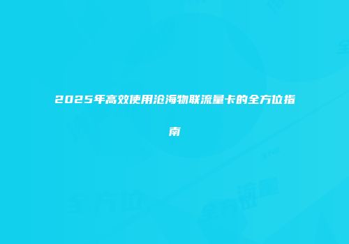2025年高效使用沧海物联流量卡的全方位指南