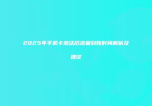 2025年手机卡激活后流量到账时间解析及建议