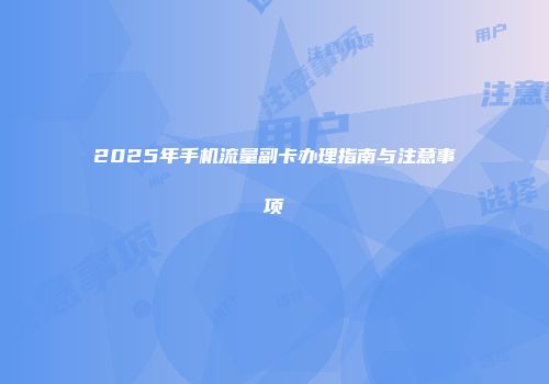2025年手机流量副卡办理指南与注意事项