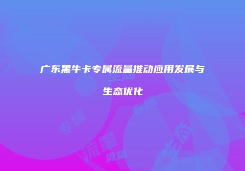 广东黑牛卡专属流量推动应用发展与生态优化