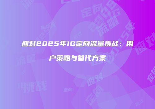 应对2025年1G定向流量挑战：用户策略与替代方案