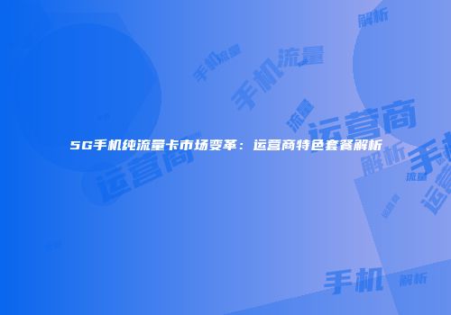 5G手机纯流量卡市场变革：运营商特色套餐解析