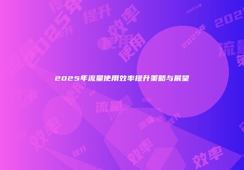 2025年流量使用效率提升策略与展望