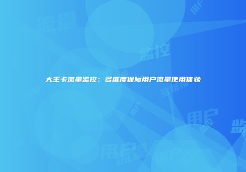 大王卡流量监控：多维度保障用户流量使用体验