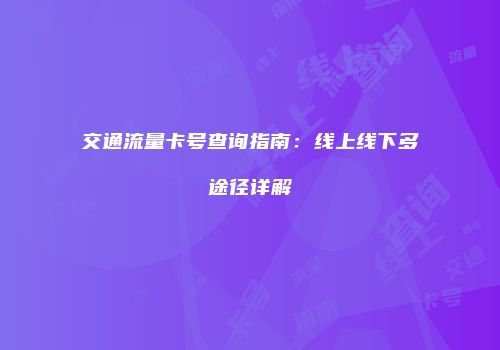 交通流量卡号查询指南：线上线下多途径详解