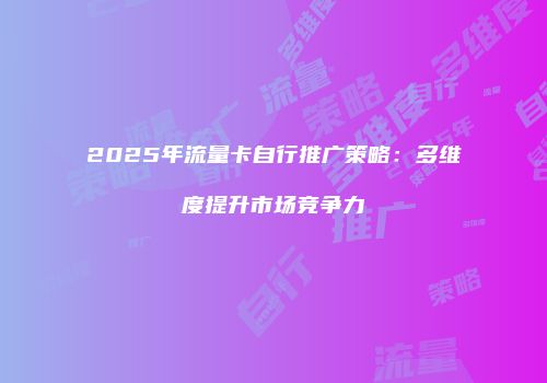 2025年流量卡自行推广策略：多维度提升市场竞争力