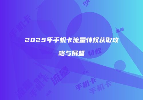 2025年手机卡流量特权获取攻略与展望