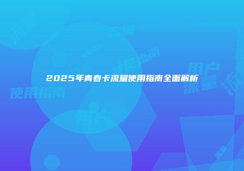 2025年青春卡流量使用指南全面解析