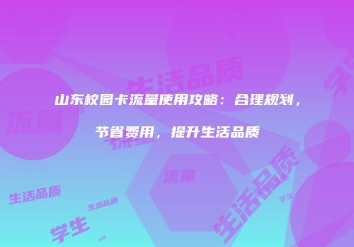 山东校园卡流量使用攻略：合理规划，节省费用，提升生活品质