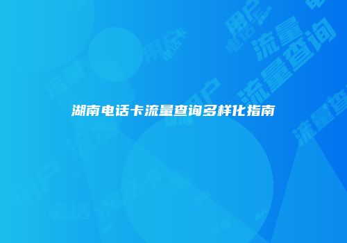 湖南电话卡流量查询多样化指南