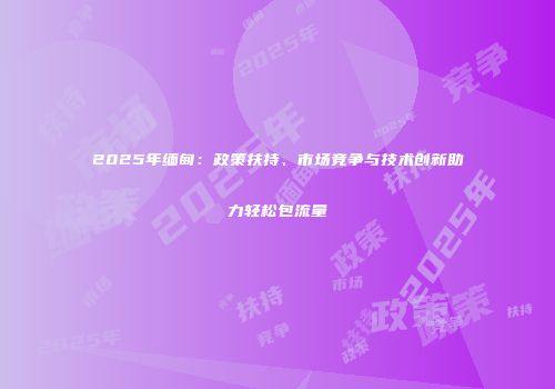 2025年缅甸：政策扶持、市场竞争与技术创新助力轻松包流量