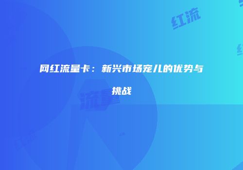 网红流量卡：新兴市场宠儿的优势与挑战
