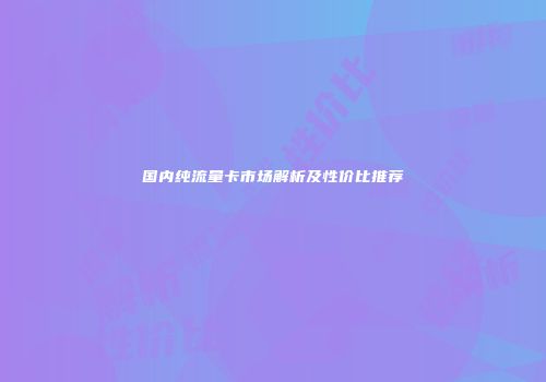 国内纯流量卡市场解析及性价比推荐