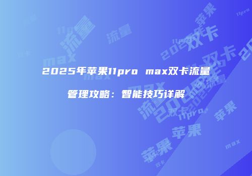 2025年苹果11pro max双卡流量管理攻略：智能技巧详解
