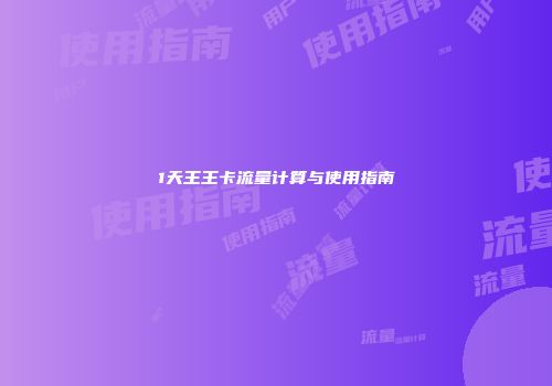 1天王王卡流量计算与使用指南