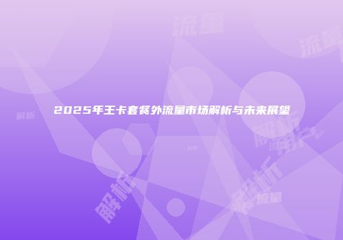 2025年王卡套餐外流量市场解析与未来展望