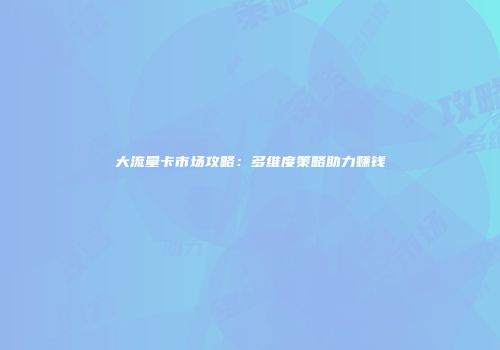 大流量卡市场攻略：多维度策略助力赚钱