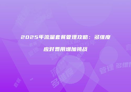 2025年流量套餐管理攻略：多维度应对费用增加挑战