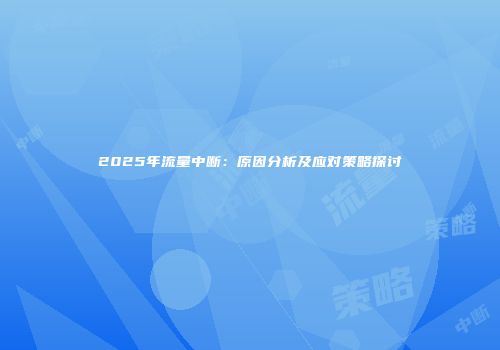2025年流量中断：原因分析及应对策略探讨