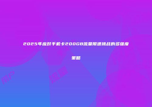 2025年应对手机卡200GB流量限速挑战的多维度策略