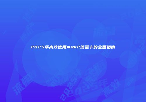 2025年高效使用mini2流量卡的全面指南