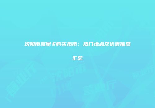 沈阳市流量卡购买指南：热门地点及优惠信息汇总