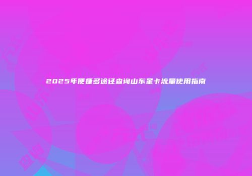 2025年便捷多途径查询山东星卡流量使用指南