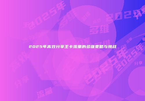 2025年高效分享王卡流量的多维策略与挑战