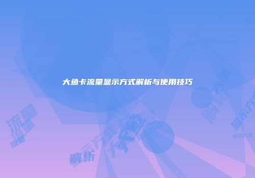 大鱼卡流量显示方式解析与使用技巧