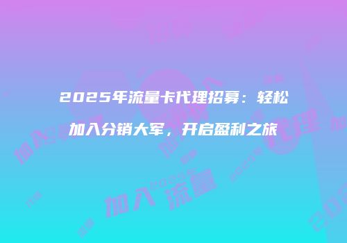2025年流量卡代理招募：轻松加入分销大军，开启盈利之旅