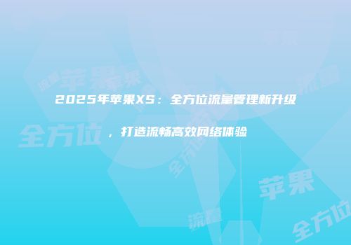 2025年苹果XS：全方位流量管理新升级，打造流畅高效网络体验