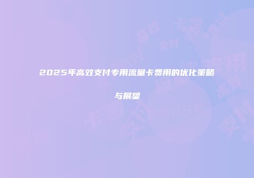 2025年高效支付专用流量卡费用的优化策略与展望