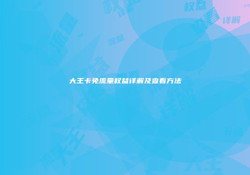 大王卡免流量权益详解及查看方法