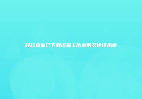 轻松查询已下载流量卡信息的多途径指南