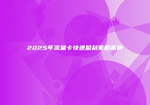 2025年流量卡快速盈利策略解析