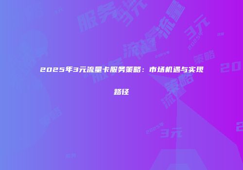 2025年3元流量卡服务策略：市场机遇与实现路径