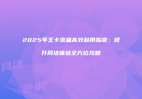 2025年王卡流量高效利用指南：提升网络体验全方位攻略