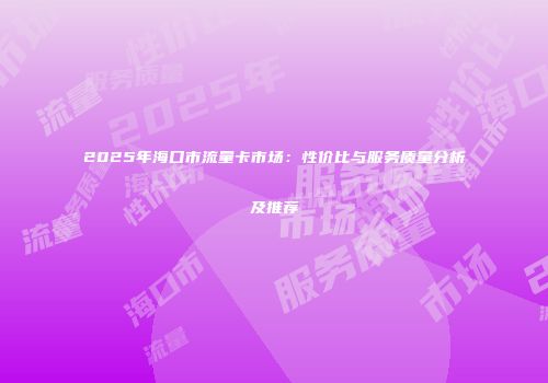 2025年海口市流量卡市场：性价比与服务质量分析及推荐