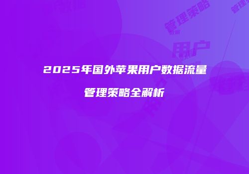 2025年国外苹果用户数据流量管理策略全解析