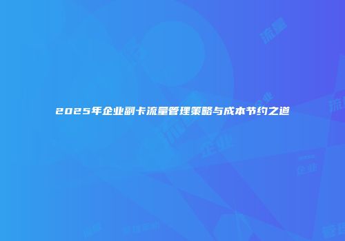 2025年企业副卡流量管理策略与成本节约之道