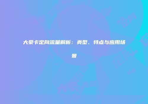 大豪卡定向流量解析：类型、特点与应用场景
