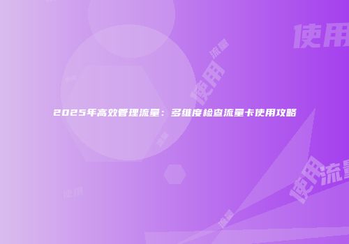 2025年高效管理流量：多维度检查流量卡使用攻略