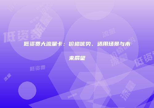 低资费大流量卡：价格优势、适用场景与未来展望