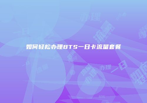 如何轻松办理BTS一日卡流量套餐