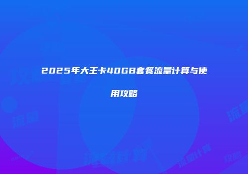 2025年大王卡40GB套餐流量计算与使用攻略