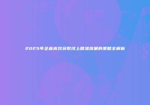 2025年企业高效获取线上精准流量的策略全解析