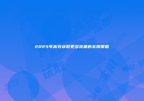2025年高效获取更多流量的实用策略