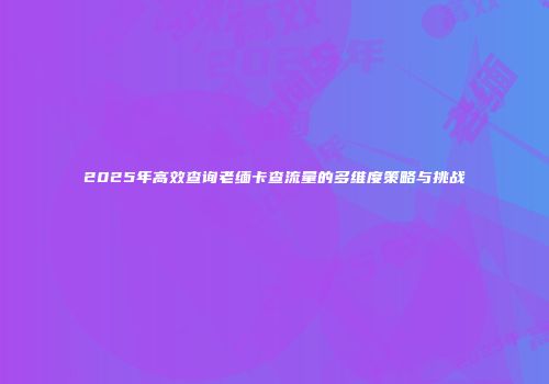 2025年高效查询老缅卡查流量的多维度策略与挑战