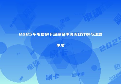 2025年电信副卡流量包申请流程详解与注意事项