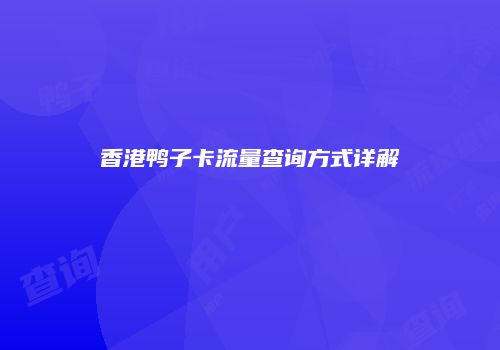 香港鸭子卡流量查询方式详解